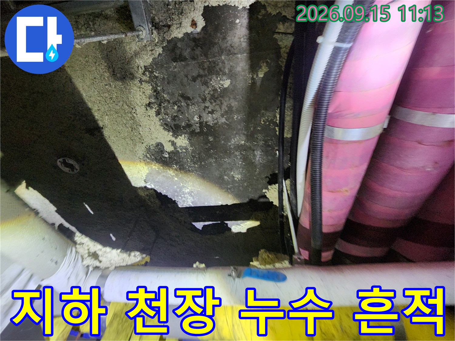 마포구 도화동-지하 창고 천장의 누수 얼룩과 배관 상태 확인