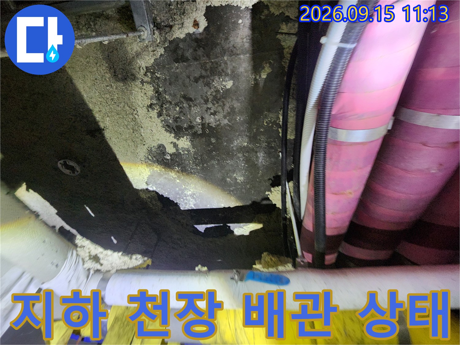 지하 창고 천장의 젖은 얼룩과 보온재가 입혀진 배관의 근접 촬영입니다.