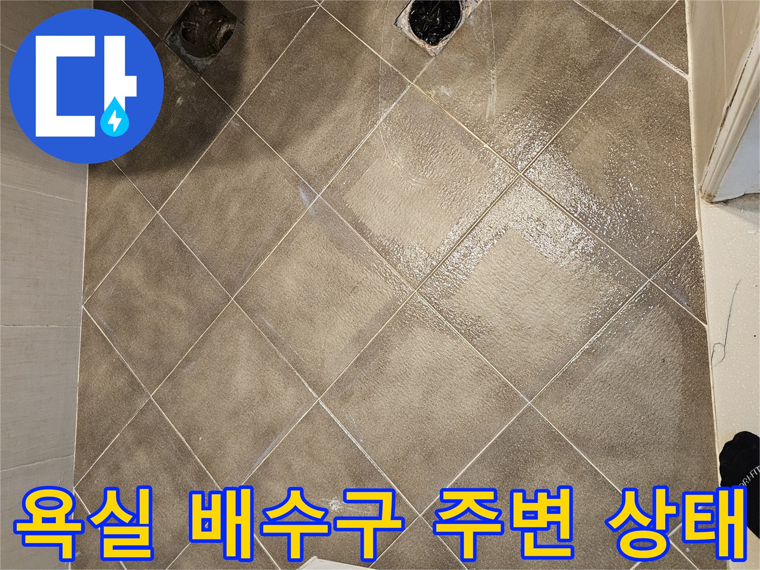 일산동구-화장실-배수구-주변-방수층-파손-상태