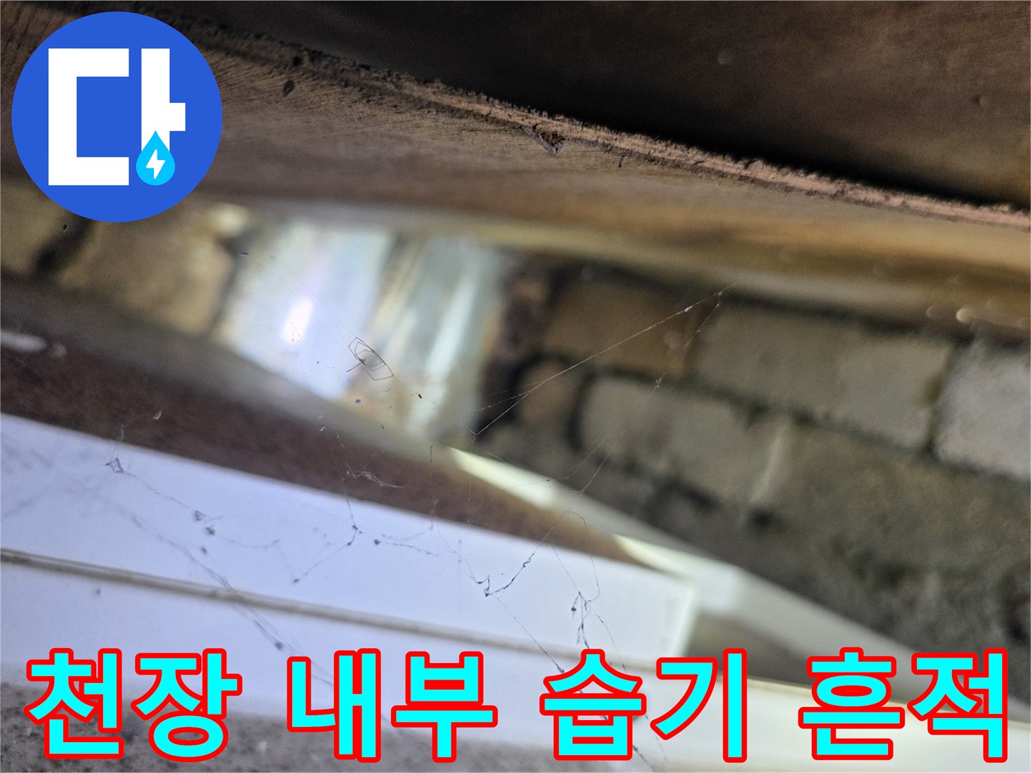 서초구 양재동-천장 텍스 내부의 배관 주변 습기 상태