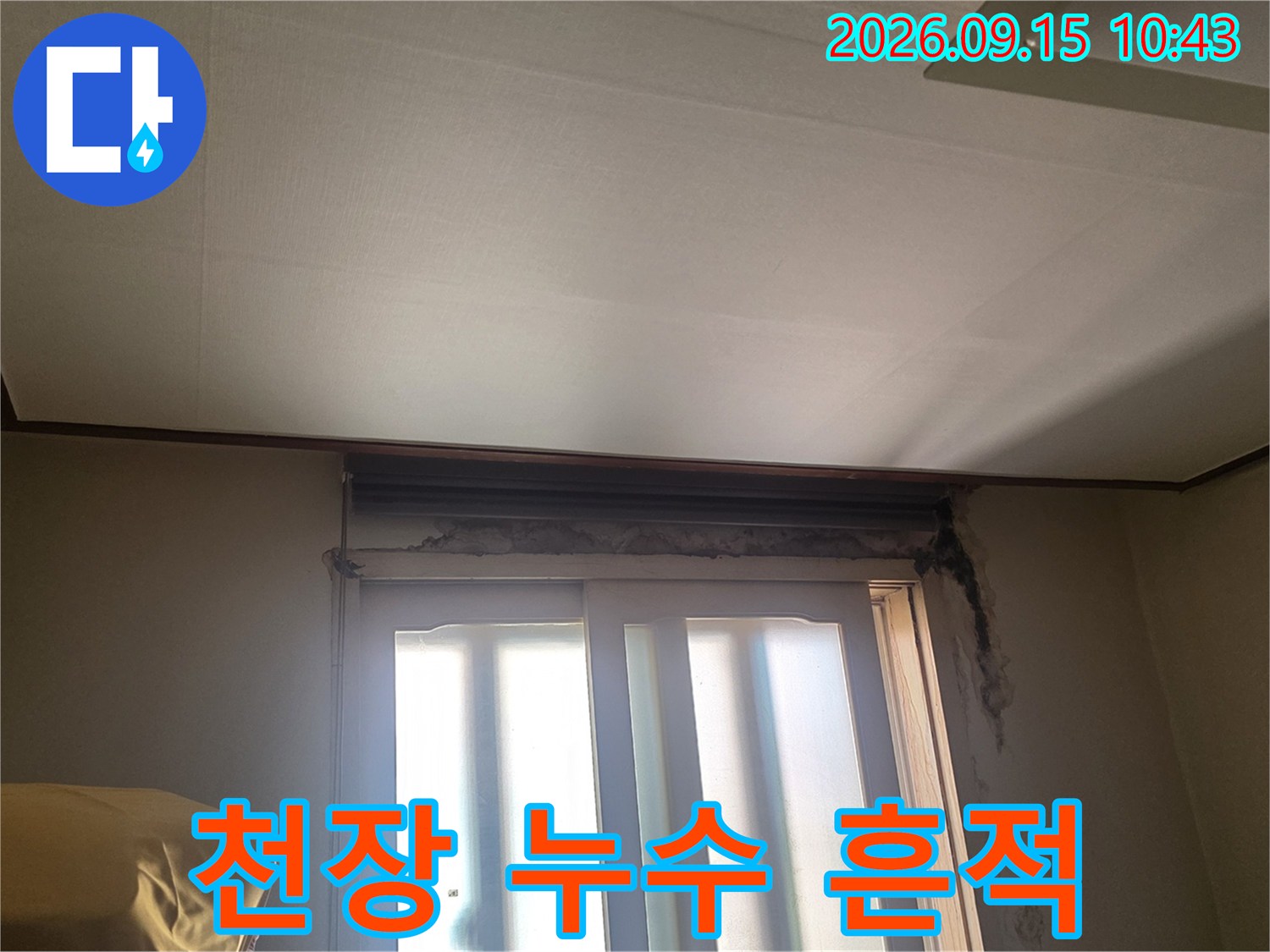 서초구 양재동 현장의 천장 물 얼룩 상태