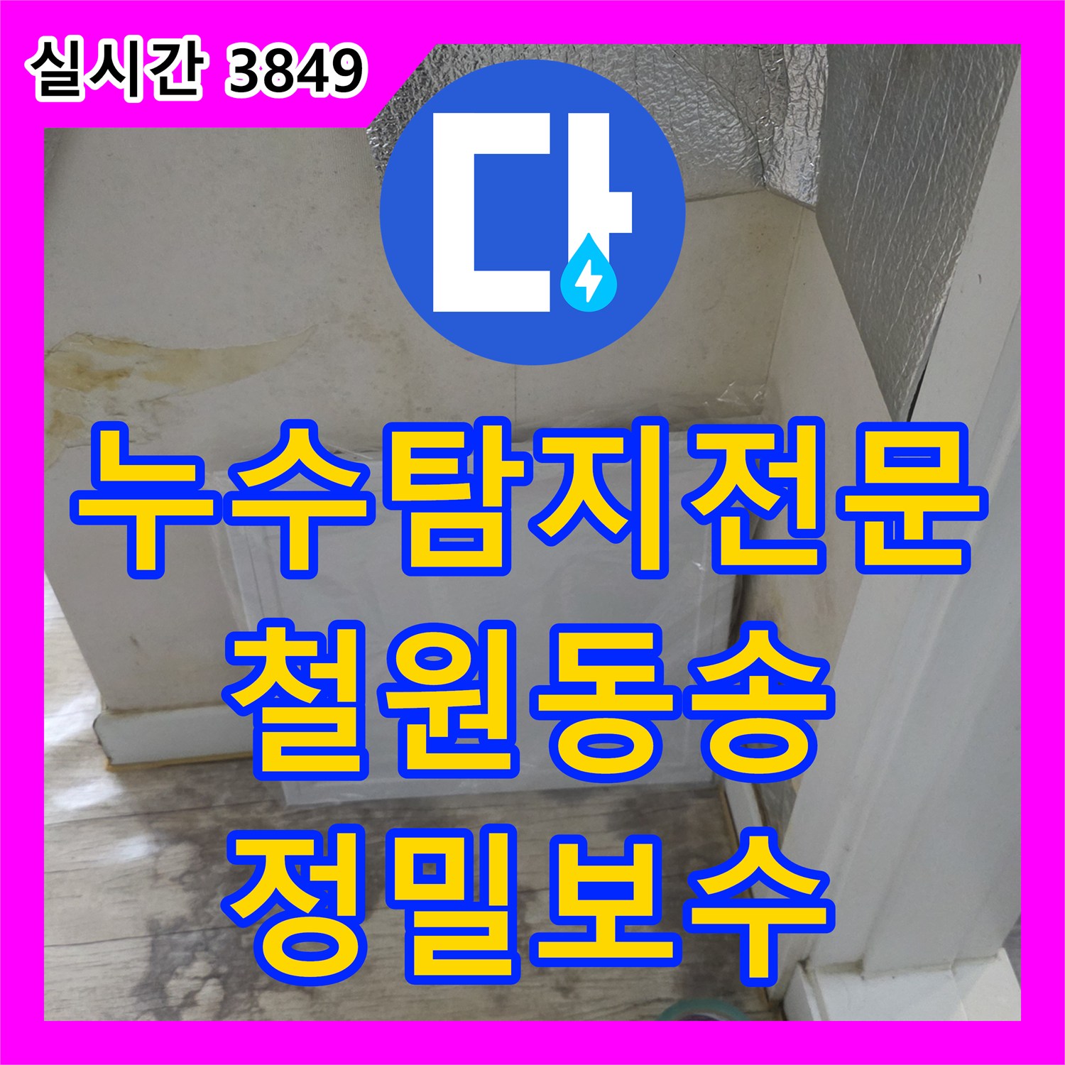 누수탐지전문 매립 배관 연결 불량 지점을 정확히 찾아 교체 시공한 강원특별자치도 철원군 동송읍 현장